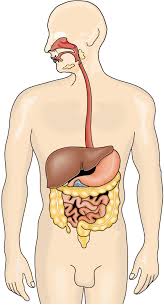 We did not find results for: Gesundheit Und Befinden SÄƒnÄƒtatea Si Starea SÄƒnÄƒtÄƒÅ£ii Springerlink