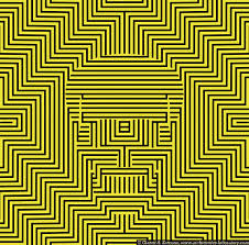 Image result for illusion pictures