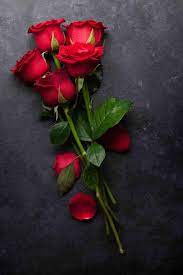 This post is filled with beautiful and colors shining rose flower wallpapers photos. Nice Rose Flower Images For Free Downlaod Redroses Rose Rosephotography Rose Flower Wallpaper Red Roses Wallpaper Rose Flower Pictures