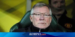 Ferguson: Anderson Mengubah Pertandingan