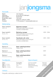 Simpele wachtwoorden zijn vaak in enkele seconden te kraken. Voorbeeld Cv S Creatief Infographic Starter Manager En Meer