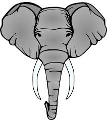 Download Elephant Head Tusks Free Vector Graphic On Pixabay