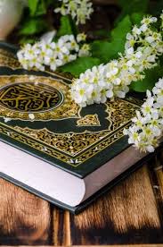 أكاديمية التصميم الابداعي تحميل القرآن كامل مفتوح للتصميم بصيغة png و pdf. ØµÙˆØ± Ù…ØµØ­Ù Quran ØµÙˆØ± Ù…ØµØ§Ø­Ù ØµÙˆØ± Ø§Ù„Ù…ØµØ­Ù Ø§Ù„Ø´Ø±ÙŠÙ Ù…Ø¬Ù„Ø© Ø±Ø¬ÙŠÙ…