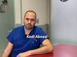 Bogazici Veteriner Poliklinigi Kedi Aknesi Facebook