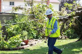 Image result for Gray 1990 Detroit Edison