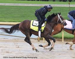 2018 Kentucky Derby Track Notes