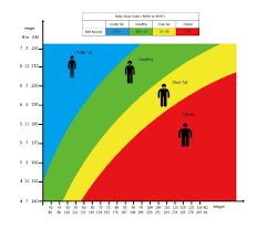 Bmi Calculator And Bmi Chart To Find Your Body Mass Indexmealpro