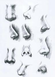 10 Amazing Nose Drawing Tutorials Ideas Brighter Craft Nose Drawing Art Drawings Drawings