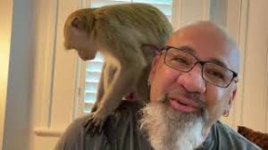 Monkeys are 'part of the family'