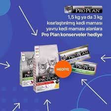 proplan kuru kedi mamasi kedi yavru kediler konserve