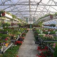 Cumpara masini de tuns iarba de la emag! Produse Noi Calde Pantofi De Alergare Reduceri Mari Sere Transilvania Accesorii Coliere 101openstories Org