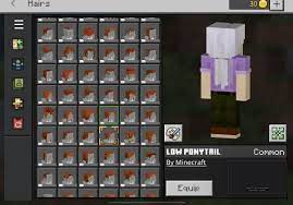 Pin by Tracey Long on Minecraft photos | Minecraft, Low ponytail, Desktop  screenshot