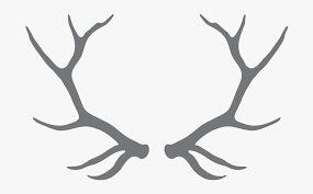 Pin amazing png images that you like. Clipart Free Download Antlers Transparent Black And Transparent Background Antler Clipart Free Transparent Clipart Clipartkey