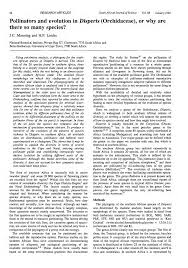 Image result for Disperis kilimanjarica