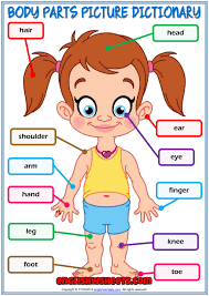 There are those parts located outside (external body parts) and others located inside the body (internal body parts) : Body Parts Esl Printable Picture Dictionary For Kids
