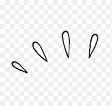 Cuatro Decoraciones En Forma De Semillas Negras Sobre Fondo Negro Edicion De Iconos De Computadora De Escritorio Garabatos Diverso Texto Png Pngegg
