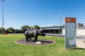 A real nice motel is the abel tasman, near the zoo, $125 per queen room. Dubbo Barristers Hunter Street Chambers
