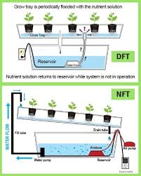 Air tersebut dialirkan dan mengandung nutrisi sesuai kebutuhan tanaman. Baja Hidroponik Buatan Sendiri Malaysian Today