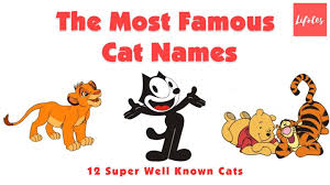 Below are famous cat names from the exotic to the charmingly ordinary. Lifotes The Most Famous Cat Names Facebook