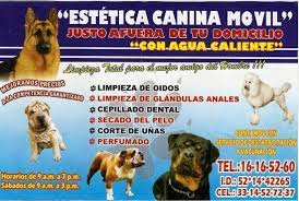 Estetica Canina Movil Estetica Canina Movil