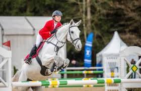 What is a buckskin horse, its color genetics, registry and association, its pictures with a list of there are several buckskin variations, including silver dapple and sooty. 235 Famous Horse Names Lovetoknow