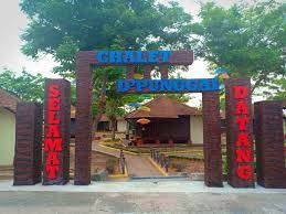 Specialize in vacation, travel and convenience. Chalet Arked D Punggai Beach Resort Home Facebook