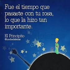 Fue El Tiempo Que Pasaste Con Tu Rosa Lo Que La Hizo Tan Importante Buscar Con Google El Principito Lecciones De Vida Frases Inspiradoras