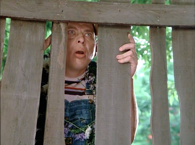 CULT TV-MOVIE REVIEW: Dark Night of the Scarecrow (1981) | John Kenneth Muir