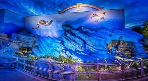 Disneyland paris big thunder mountain on ride all effects working 4 april 2019. Finding Nemo S Crush S Coaster Walt Disney Studios Park Disneyland Paris Dlp Disneyland Disneyland Paris Attractions Disney World Rides Disneyland Paris
