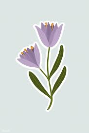 Blooming Purple Crocus Flower Vector Free Image By Rawpixel Com Noon Flower Illustration Crocus Flower Saffron Flower