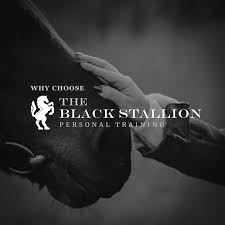 The Black Stallion Georgetown