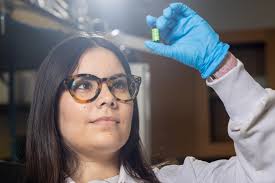 It All Adds Up: Study Finds Forever Chemicals Are More Toxic as Mixtures