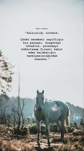 Cnslclk Adli Kullanicinin Sozler Panosundaki Pin Alintilar Kitap Guzel Soz