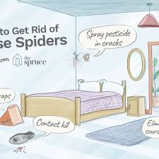 Types of treatments readily available. How To Get Rid Of Spiders In The House