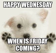 Happy Wednesday Memes Funny Wednesday Quotes Funny Wednesday Memes Wednesday Memes