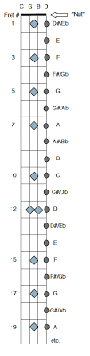 Plectrum Banjo Chords Scott Anthony Banjo Guitar