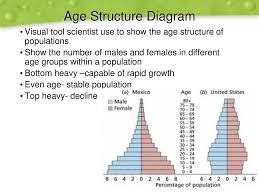 Identify The Abiotic And Biotic Factors In This Picture Ppt Download