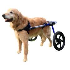 How To Make A Dog Wheelchair A Complete Guide To A Useful Diy Project Dog Wheelchair Paralyzed Dog Diy Dog Wheelchair
