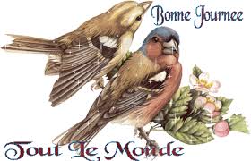 Résultat de recherche d'images pour "bonjour et bonne journée à toutes et à tous"