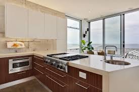 manhattan beach ultra modern kitchen