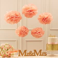 We did not find results for: 8pc Peach Color Tissue Paper Flowers Paper Pom Poms Balls Lantern Party Wedding Decoration Baby Shower Party Decoration Supplies Party Diy Decorations Aliexpress
