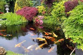 Download koi pond stock photos. 24 Stunning Koi Pond Design Ideas