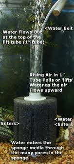 Sponge Filter With Air Pump Diagram For Filtration Aquarium Air Pump Betta Fish Tank Aquarium Filter
