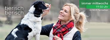Die offizielle facebookseite der sendung tiere suchen ein zuhause des wdr fernsehens! Tierisch Tierisch Home Facebook