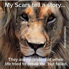 Pin By Cheryl Deane On Public Service Announcements Lion Quotes Lion Lions