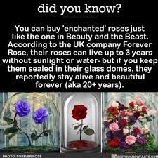 Pin On Interesting Facts