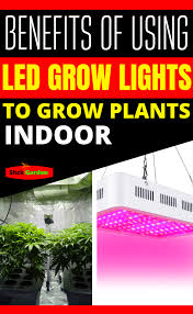 How much energy does a grow light use. Pin On Grow Light