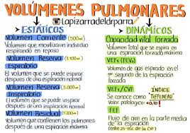 Fisiologia Respiratoria Parte 1 Volumenes Pulmonares Estaticos Volumenes De Gas Que Contien Med Student Medicine Student Medicine Studies
