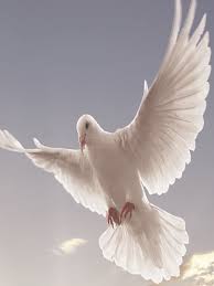 Grissom's Chapel & Mortuary Inc.