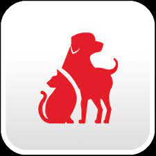 The course consists of illustrated step by step directions, flow charts, diagrams, videos and test yourself sections fully compatible with all computers. Cat Dog First Aid Red Cross